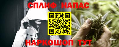 шишки Дубна