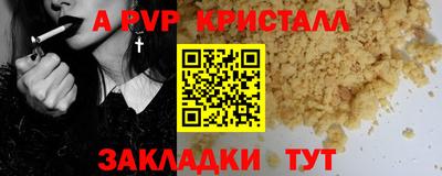 шишки Дубна