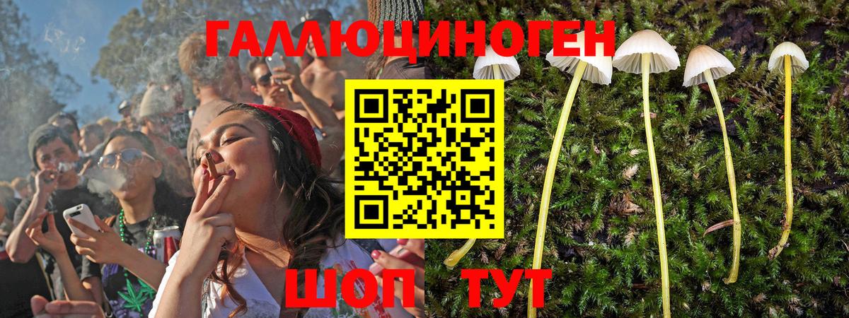Галлюциногенные грибы Psilocybine cubensis Минеральные Воды