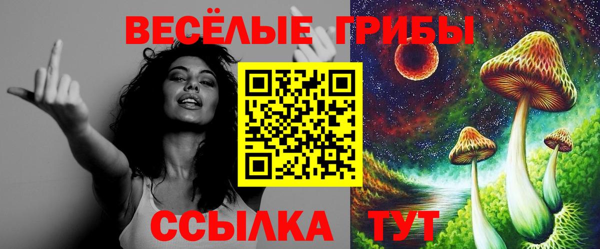 Псилоцибиновые грибы мухоморы  Псилоцибиновые грибы MAGIC MUSHROOMS  Минеральные Воды  Вход с VPN 